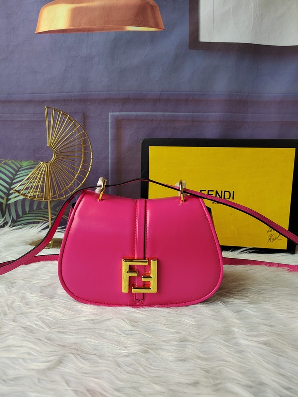 Fendi Handbags 123